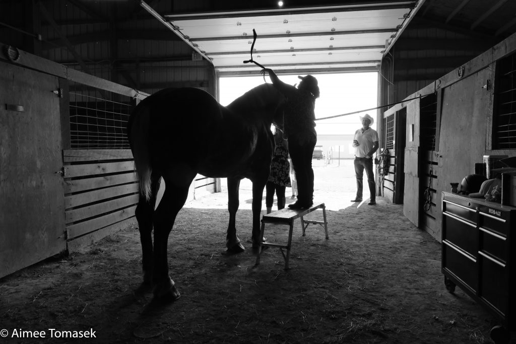 Porter County Fair 2