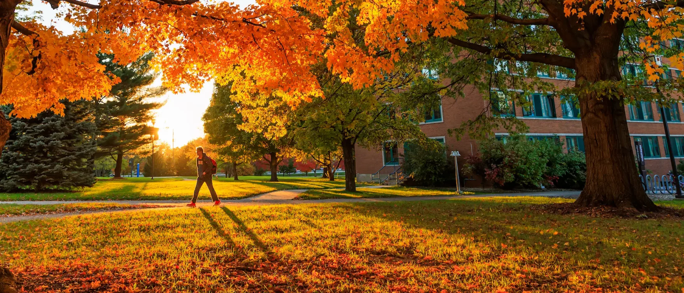 Campus in the Fall